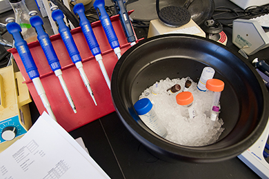 Research Photo Library (Opens in Bynder)