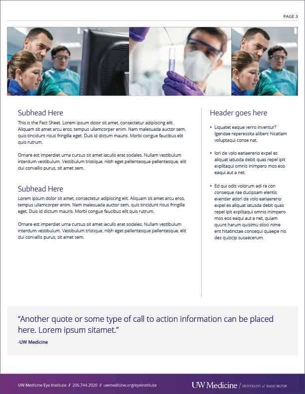 Image of InDesign Fact Sheet template page 3