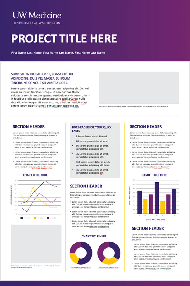 image of vertical branded academic poster template